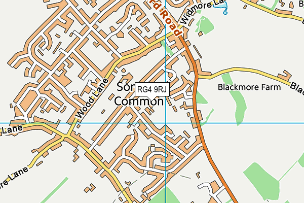 Sonning Common Primary School map (RG4 9RJ) - OS VectorMap District (Ordnance Survey)