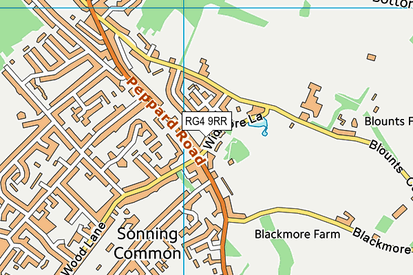 RG4 9RR map - OS VectorMap District (Ordnance Survey)