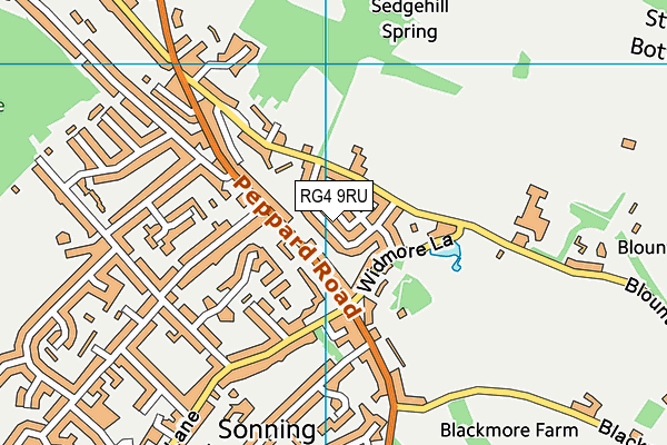 RG4 9RU map - OS VectorMap District (Ordnance Survey)