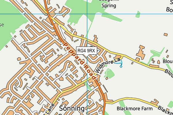 RG4 9RX map - OS VectorMap District (Ordnance Survey)