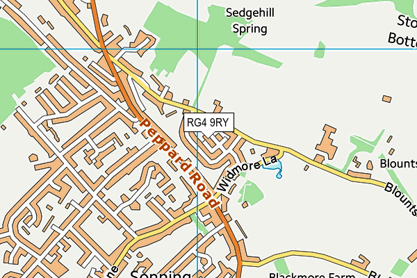 RG4 9RY map - OS VectorMap District (Ordnance Survey)