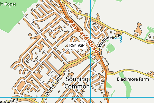 RG4 9SP map - OS VectorMap District (Ordnance Survey)