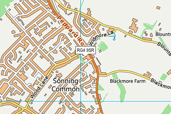 RG4 9SR map - OS VectorMap District (Ordnance Survey)