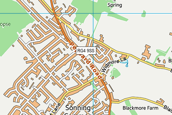 RG4 9SS map - OS VectorMap District (Ordnance Survey)