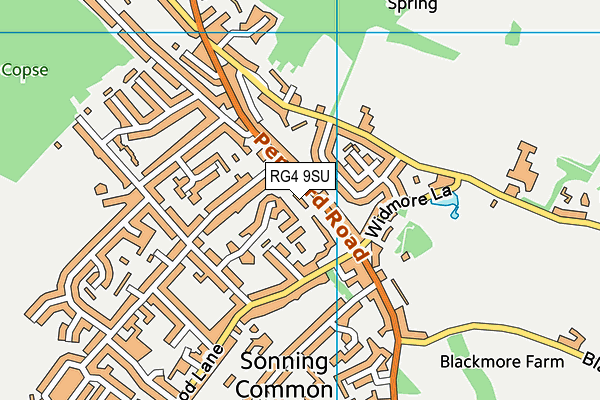 RG4 9SU map - OS VectorMap District (Ordnance Survey)