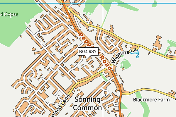 RG4 9SY map - OS VectorMap District (Ordnance Survey)
