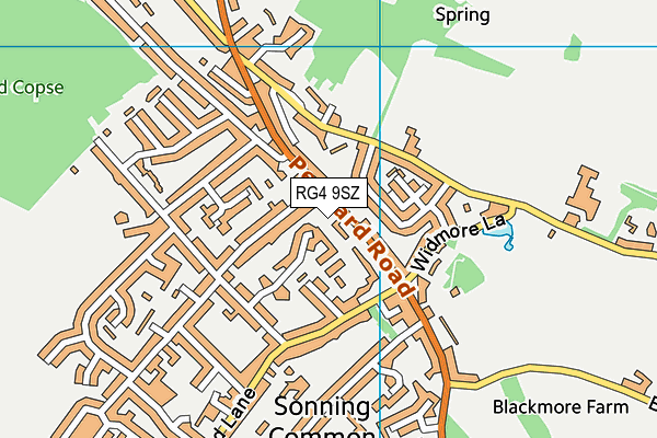RG4 9SZ map - OS VectorMap District (Ordnance Survey)