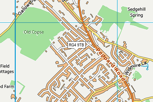 RG4 9TB map - OS VectorMap District (Ordnance Survey)