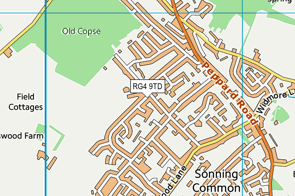 RG4 9TD map - OS VectorMap District (Ordnance Survey)