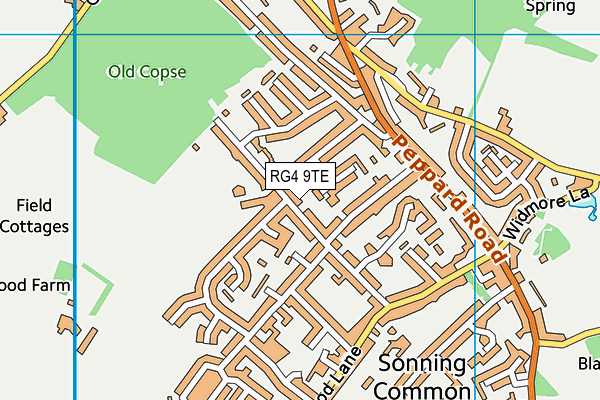 RG4 9TE map - OS VectorMap District (Ordnance Survey)