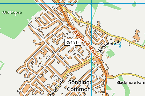 RG4 9TF map - OS VectorMap District (Ordnance Survey)