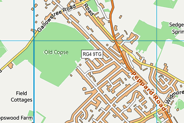 RG4 9TG map - OS VectorMap District (Ordnance Survey)