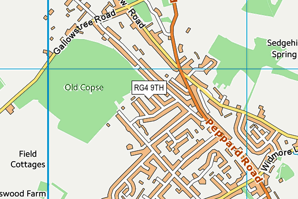 RG4 9TH map - OS VectorMap District (Ordnance Survey)