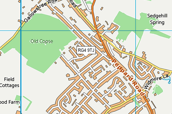 RG4 9TJ map - OS VectorMap District (Ordnance Survey)