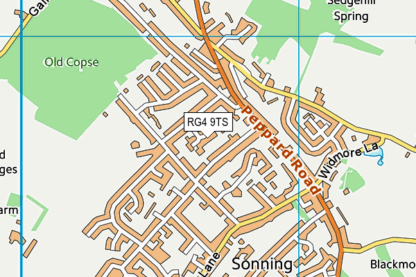 RG4 9TS map - OS VectorMap District (Ordnance Survey)