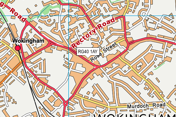 RG40 1AY map - OS VectorMap District (Ordnance Survey)