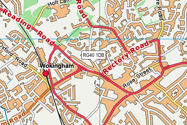 RG40 1DB map - OS VectorMap District (Ordnance Survey)