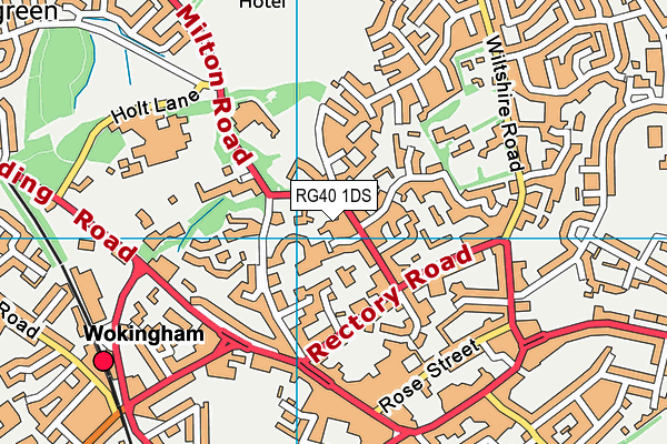 RG40 1DS map - OS VectorMap District (Ordnance Survey)