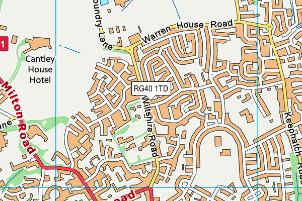 RG40 1TD map - OS VectorMap District (Ordnance Survey)