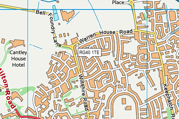 RG40 1TE map - OS VectorMap District (Ordnance Survey)