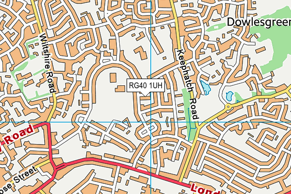 RG40 1UH map - OS VectorMap District (Ordnance Survey)