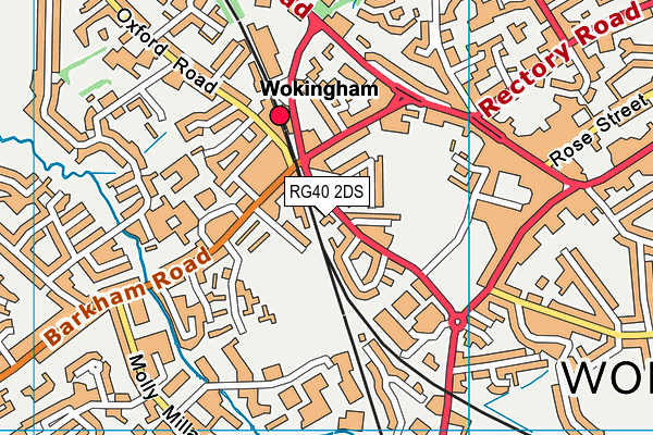 RG40 2DS map - OS VectorMap District (Ordnance Survey)