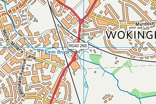 RG40 2NS map - OS VectorMap District (Ordnance Survey)