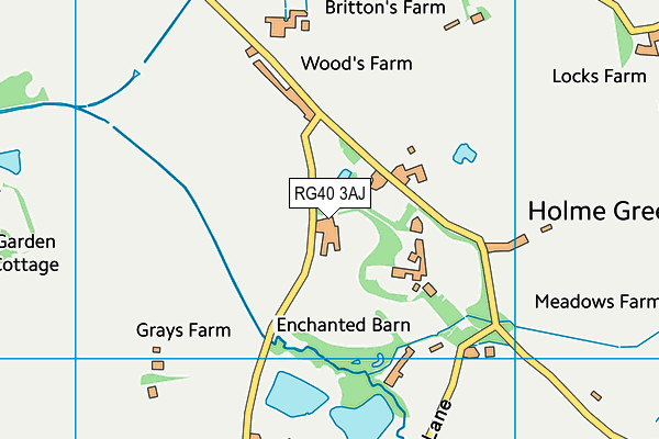 RG40 3AJ map - OS VectorMap District (Ordnance Survey)