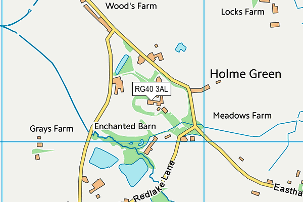 Holme Grange School map (RG40 3AL) - OS VectorMap District (Ordnance Survey)