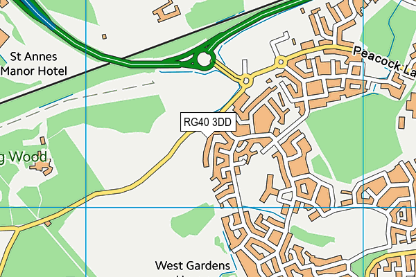 RG40 3DD map - OS VectorMap District (Ordnance Survey)