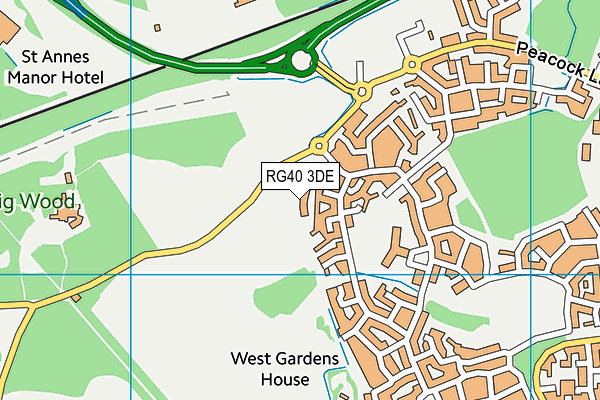 RG40 3DE map - OS VectorMap District (Ordnance Survey)