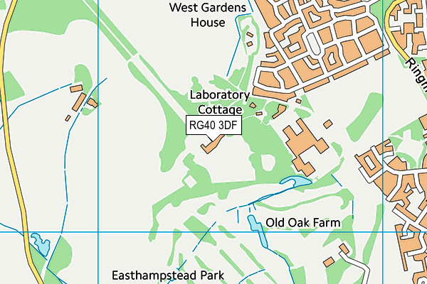 RG40 3DF map - OS VectorMap District (Ordnance Survey)