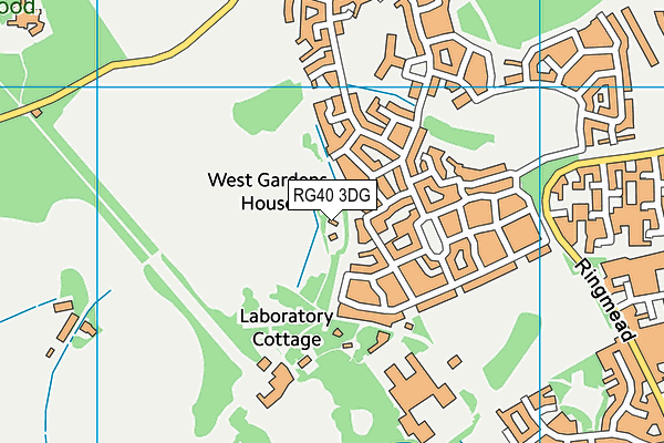 RG40 3DG map - OS VectorMap District (Ordnance Survey)
