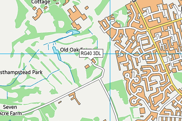 RG40 3DL map - OS VectorMap District (Ordnance Survey)