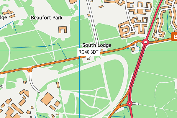 RG40 3DT map - OS VectorMap District (Ordnance Survey)