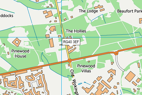 RG40 3EF map - OS VectorMap District (Ordnance Survey)