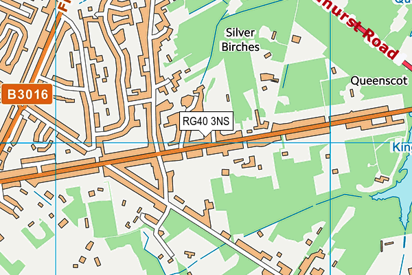 RG40 3NS map - OS VectorMap District (Ordnance Survey)