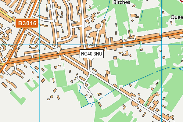 RG40 3NU map - OS VectorMap District (Ordnance Survey)