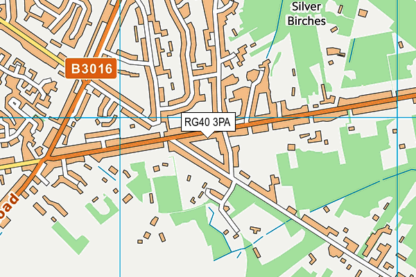 RG40 3PA map - OS VectorMap District (Ordnance Survey)