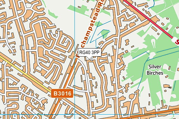 RG40 3PP map - OS VectorMap District (Ordnance Survey)