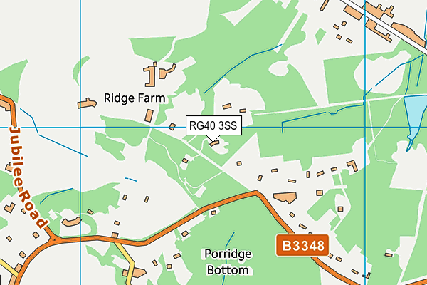 RG40 3SS map - OS VectorMap District (Ordnance Survey)
