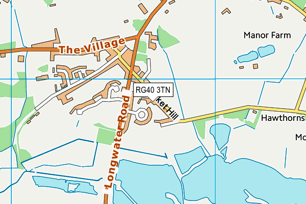 RG40 3TN map - OS VectorMap District (Ordnance Survey)
