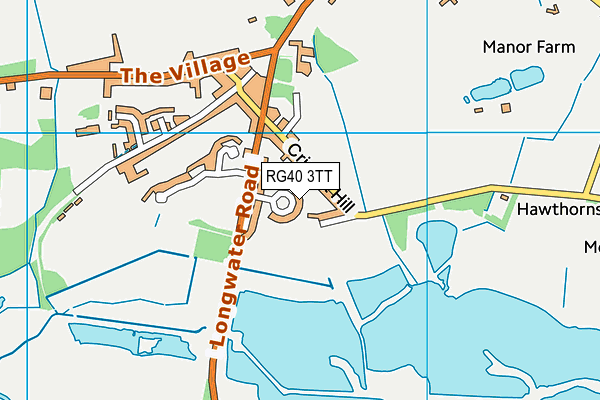 RG40 3TT map - OS VectorMap District (Ordnance Survey)