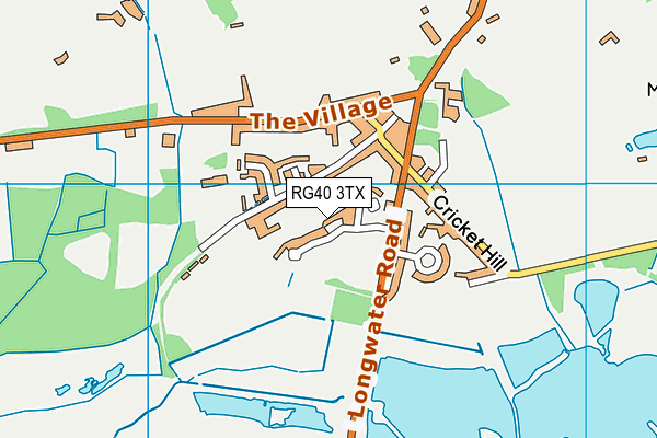 RG40 3TX map - OS VectorMap District (Ordnance Survey)