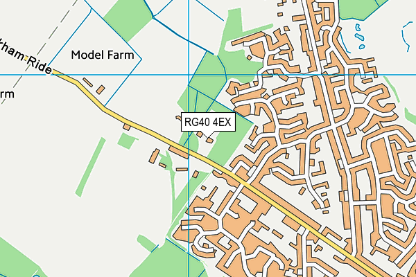 RG40 4EX map - OS VectorMap District (Ordnance Survey)