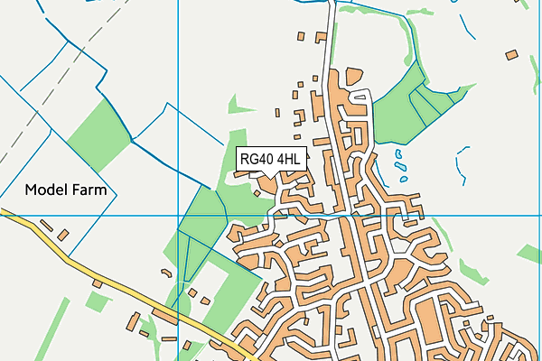 RG40 4HL map - OS VectorMap District (Ordnance Survey)