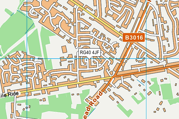 RG40 4JF map - OS VectorMap District (Ordnance Survey)