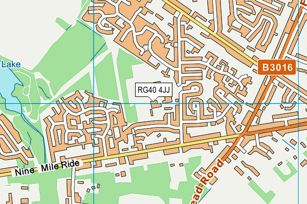 RG40 4JJ map - OS VectorMap District (Ordnance Survey)