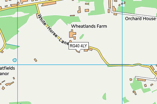 RG40 4LY map - OS VectorMap District (Ordnance Survey)