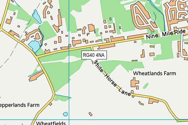 RG40 4NA map - OS VectorMap District (Ordnance Survey)